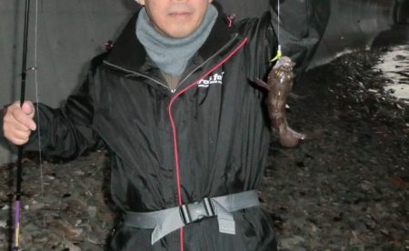 2020初メバリング